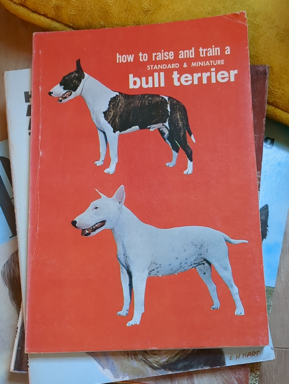 1973 Copy Bull Terrier Training Guide - Red Cover